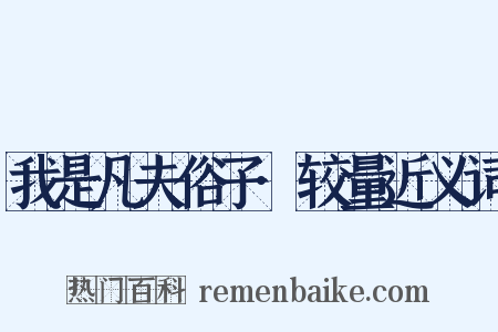 我是凡夫俗子·较量近义词是什么意思的图片